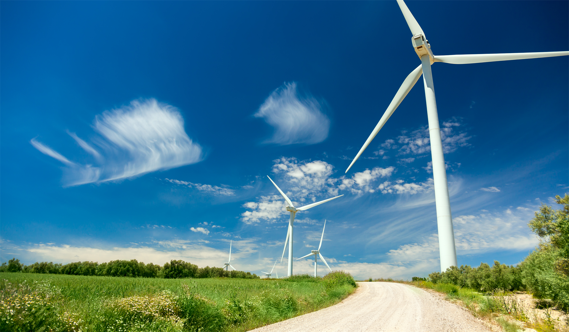 Windkraft-Serie, Teil 4 | Windenergie trifft Umweltplanung 