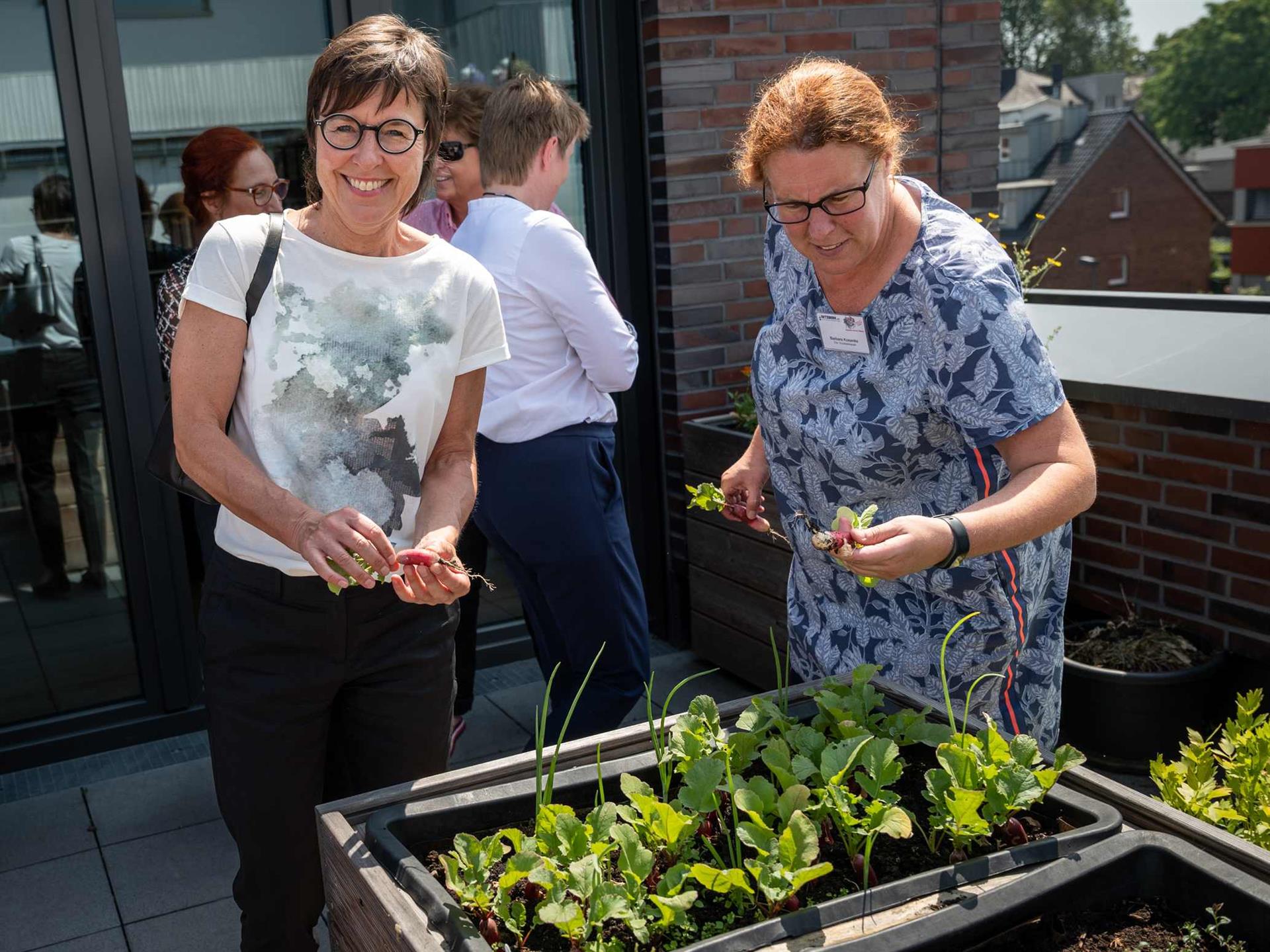 Urban Gardening in Nippes: Zu Besuch bei der Jugendwerkstatt des Netzwerk e. V.