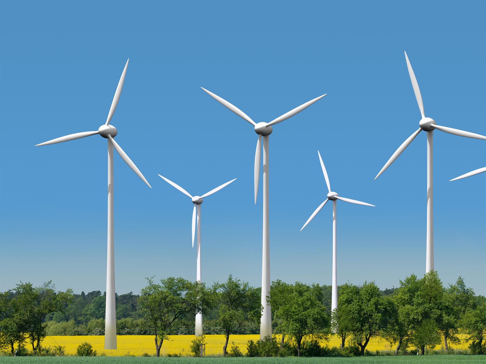 Windkraft-Serie, Teil 2 | Aus Wind wird Kraft