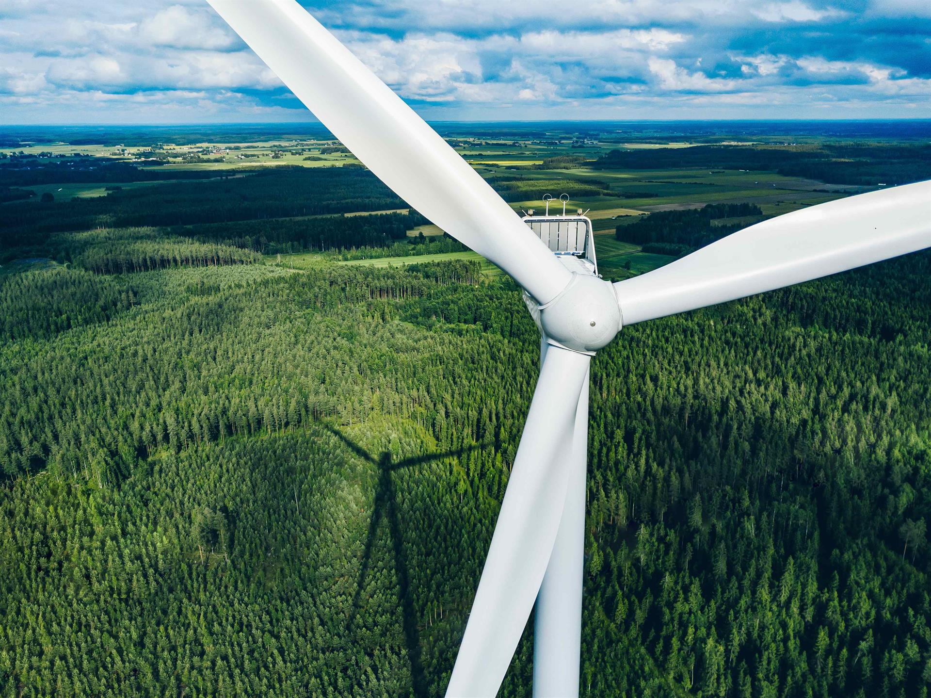 Windkraft-Serie, Teil 3 | Wie wirkt sich Windkraft auf die Umgebung aus?