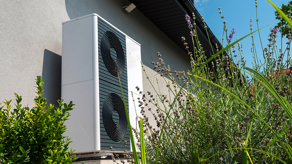 Eine Wärmepumpe steht vor einer grauen Hauswand, davor ragen Lavendelblüten nach oben..