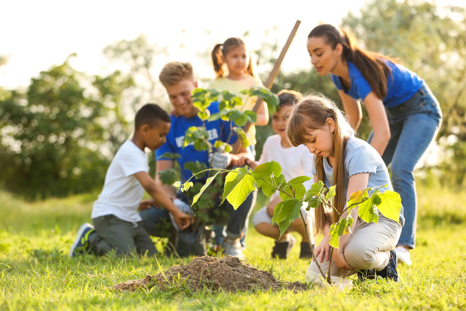 Kinder pflanzen einen Baum