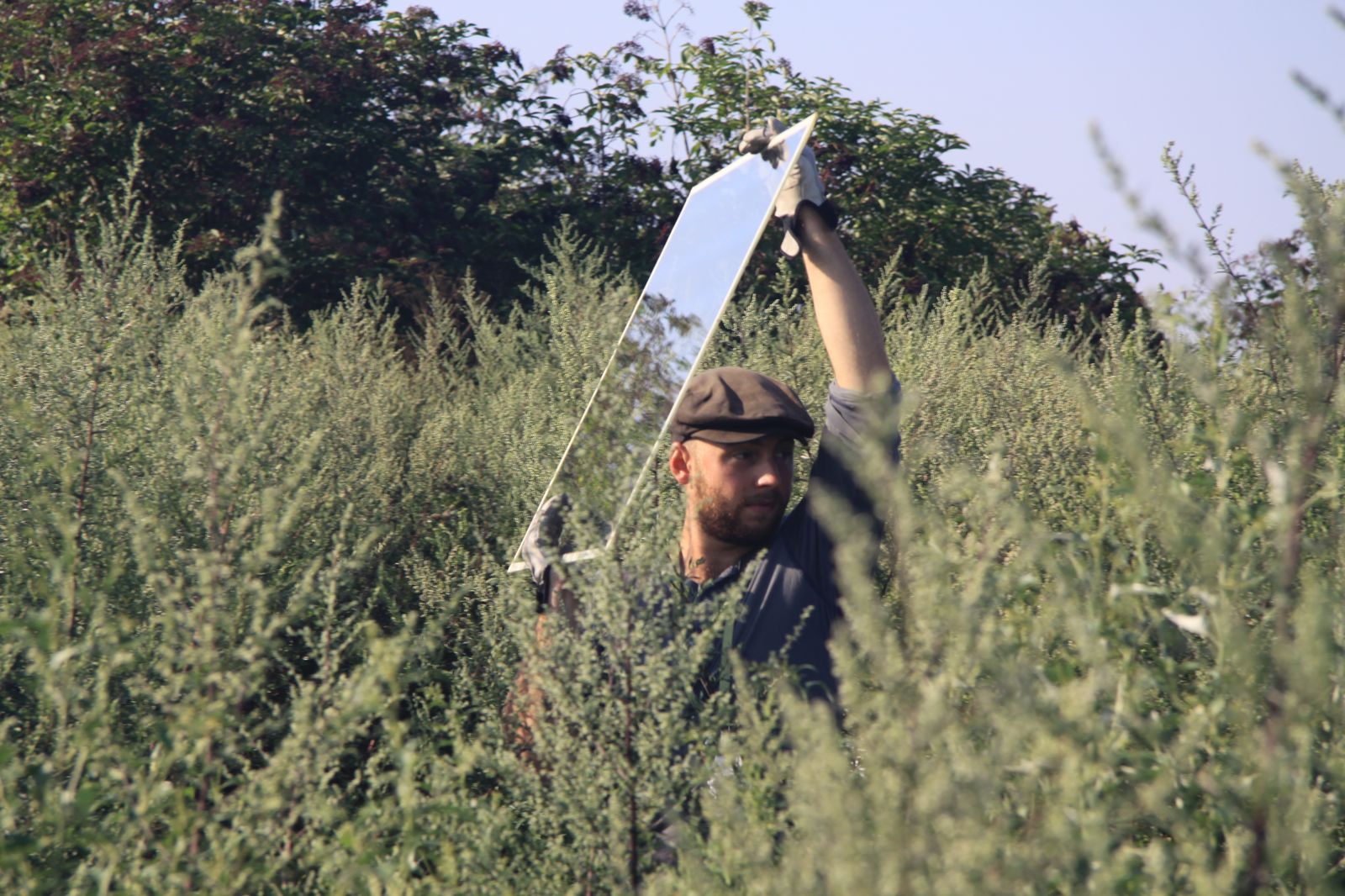 Forschung für den Artenschutz – Spezialfolie verhindert Vogelschlag am Wasserwerk 