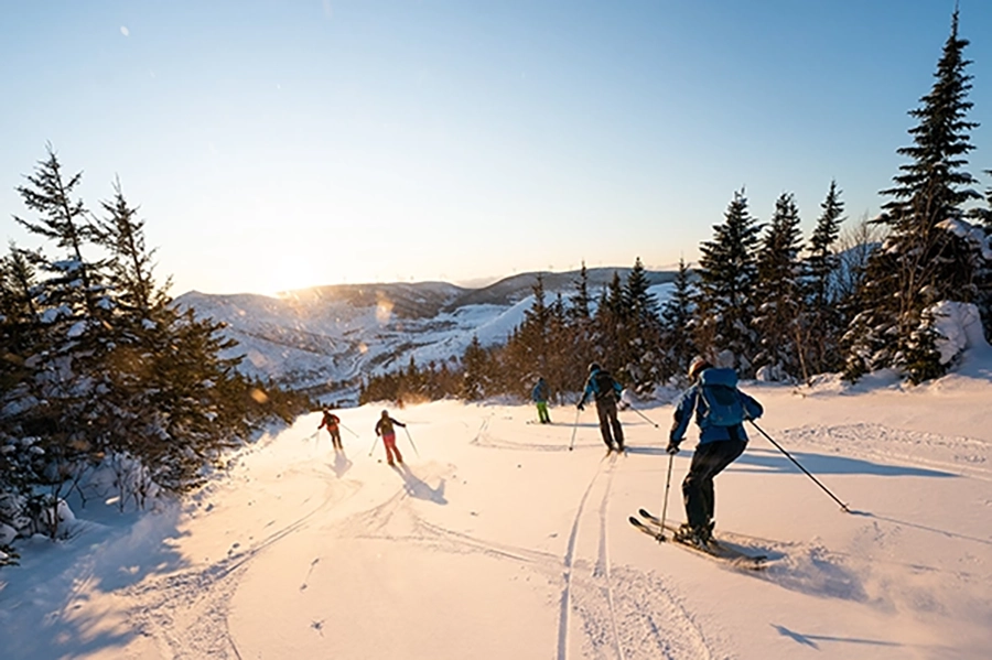 Eine Gruppe Skifahrer in der Abendsonne. 