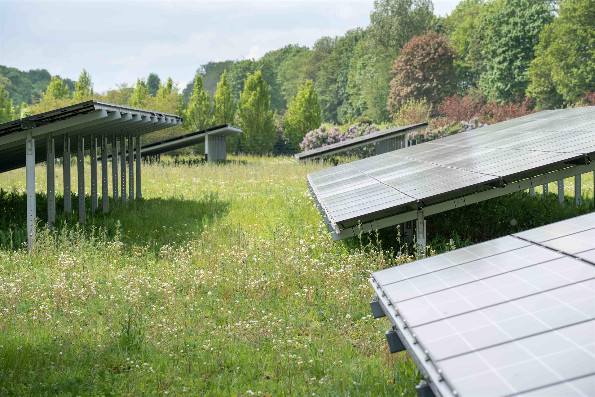 Solarpark in Köln-Weiden