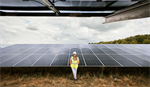 Solarpark Köln: Im Süden, wo die Sonne scheint