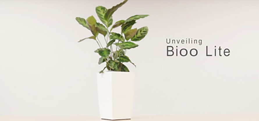 Bioo Lite – Blumentopf verwandelt Zimmerpflanzen in Mini-Kraftwerke