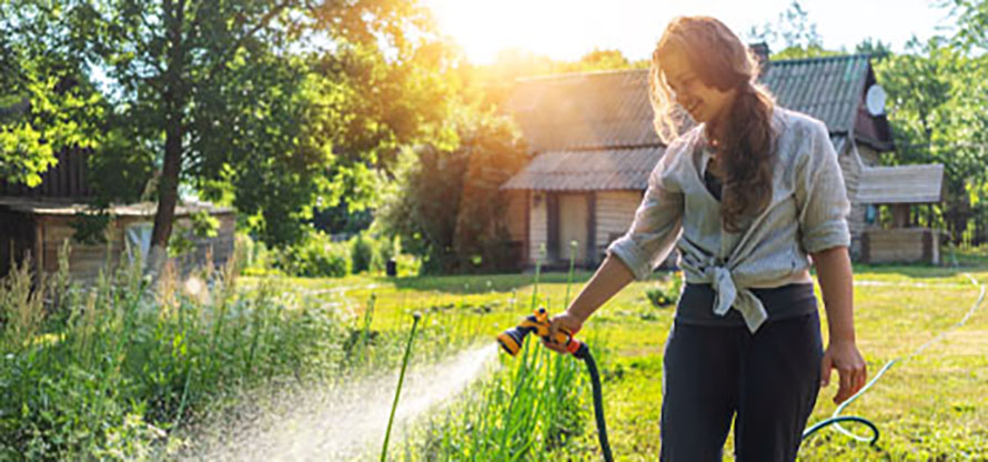Abwassergebühren sparen: Günstiger gießen mit dem Gartenwasserzähler